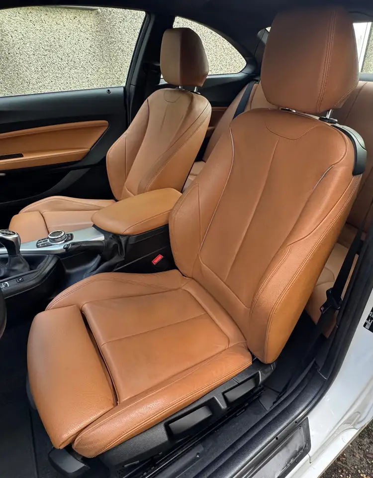 BMW 218 - 11