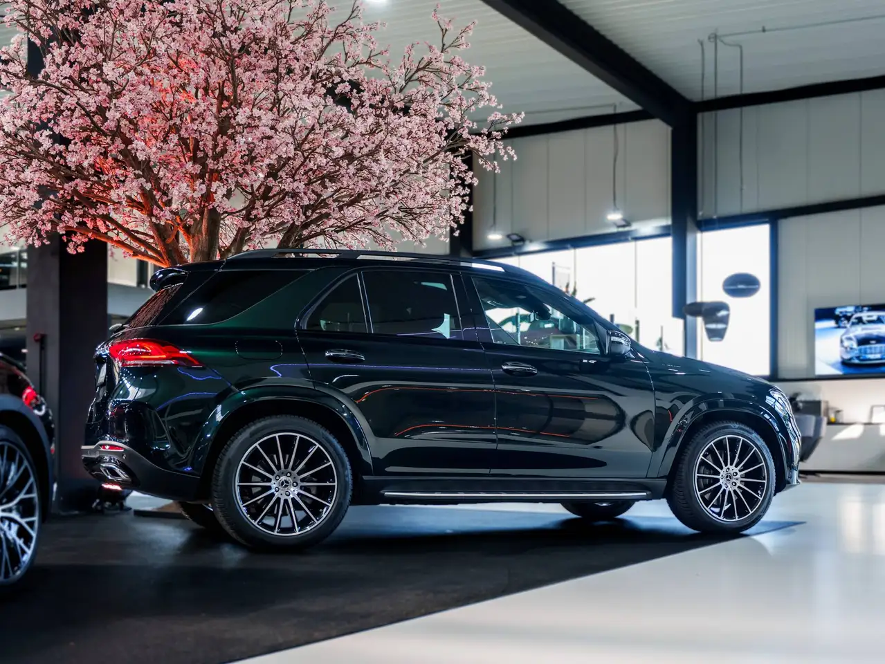Mercedes-Benz GLE 300 - 4
