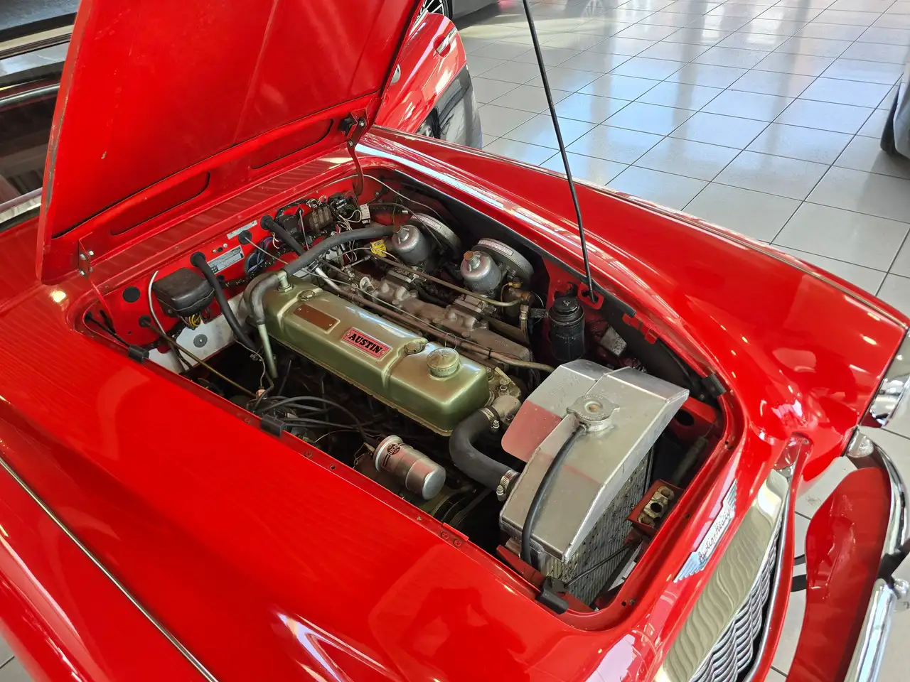 Austin-Healey 100 - 2