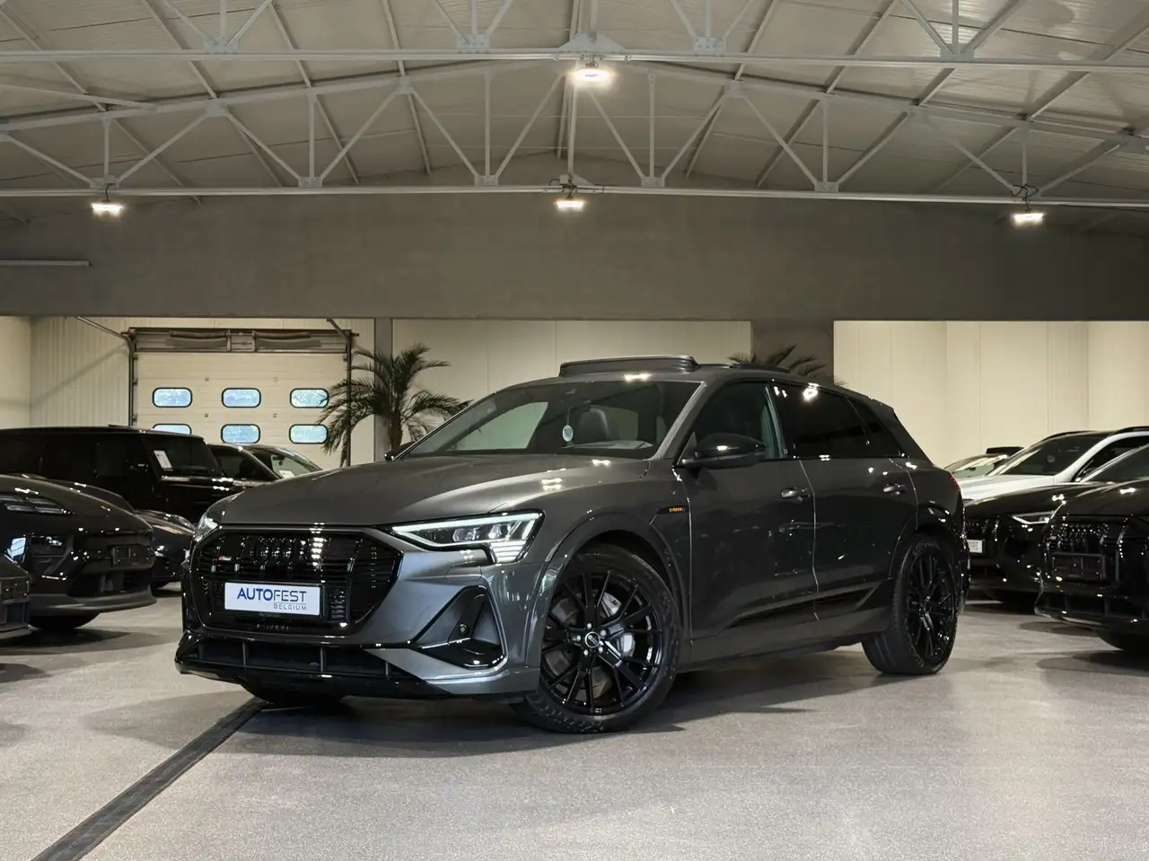 Audi e-tron - 1