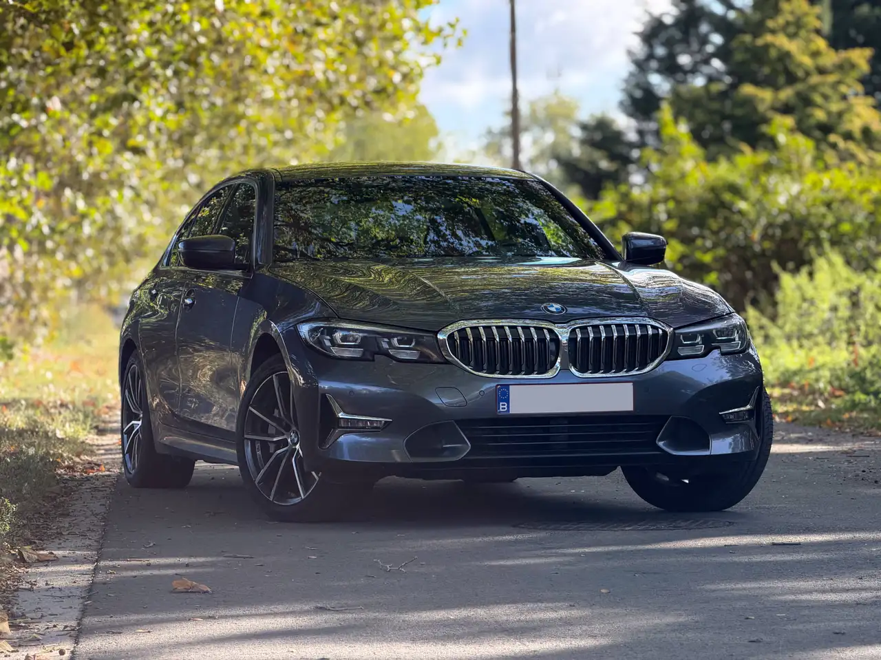 BMW 330 - 2