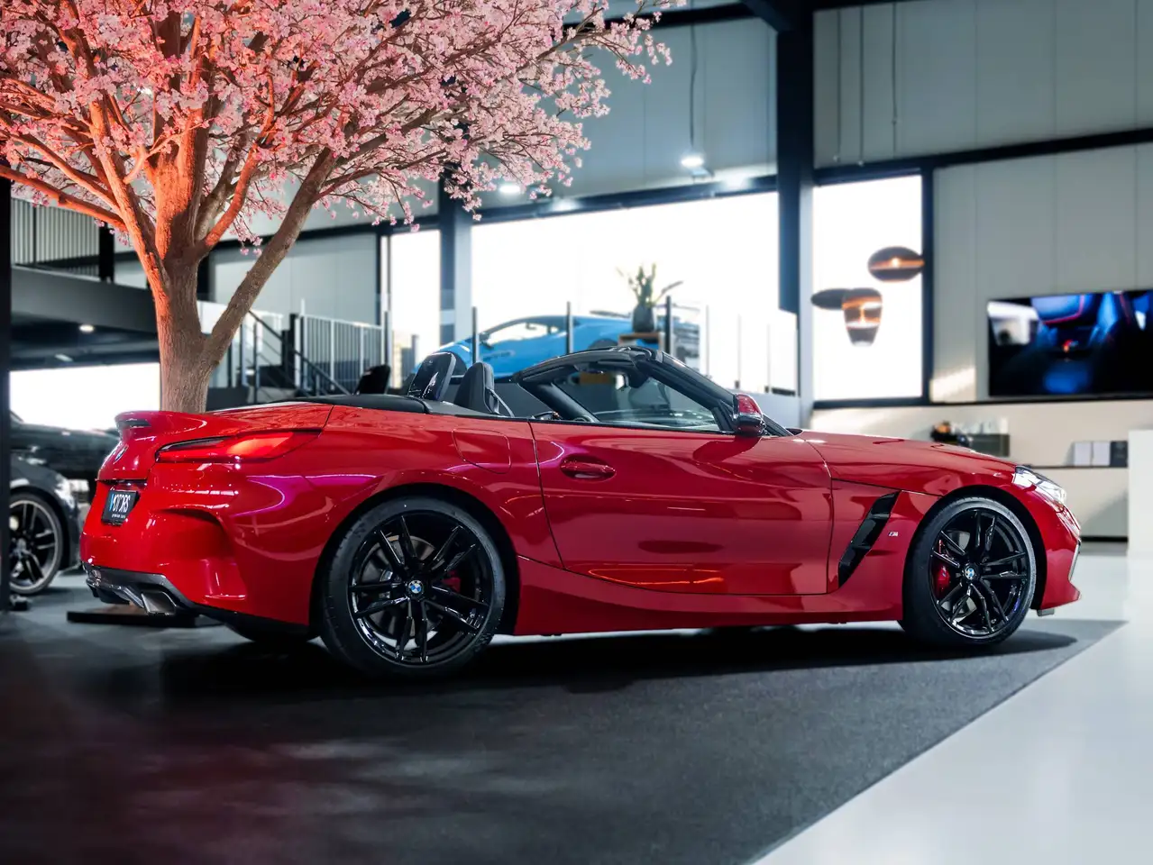 BMW Z4 M - 7