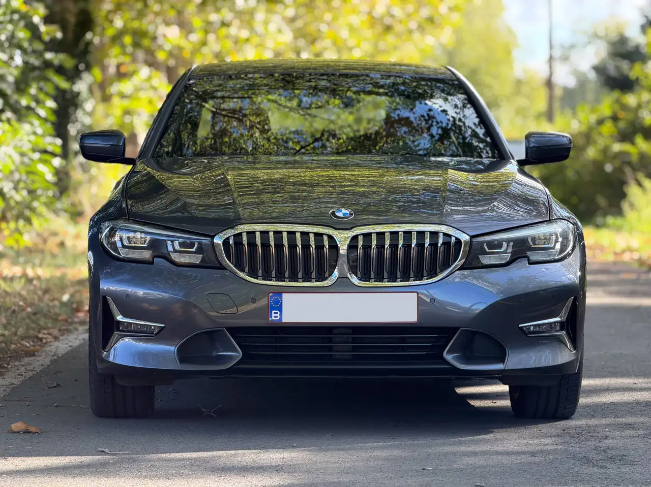 BMW 330 - 6