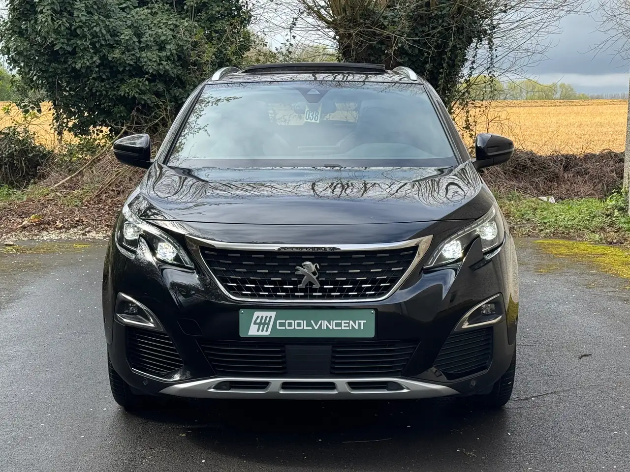 Peugeot 3008 - 2