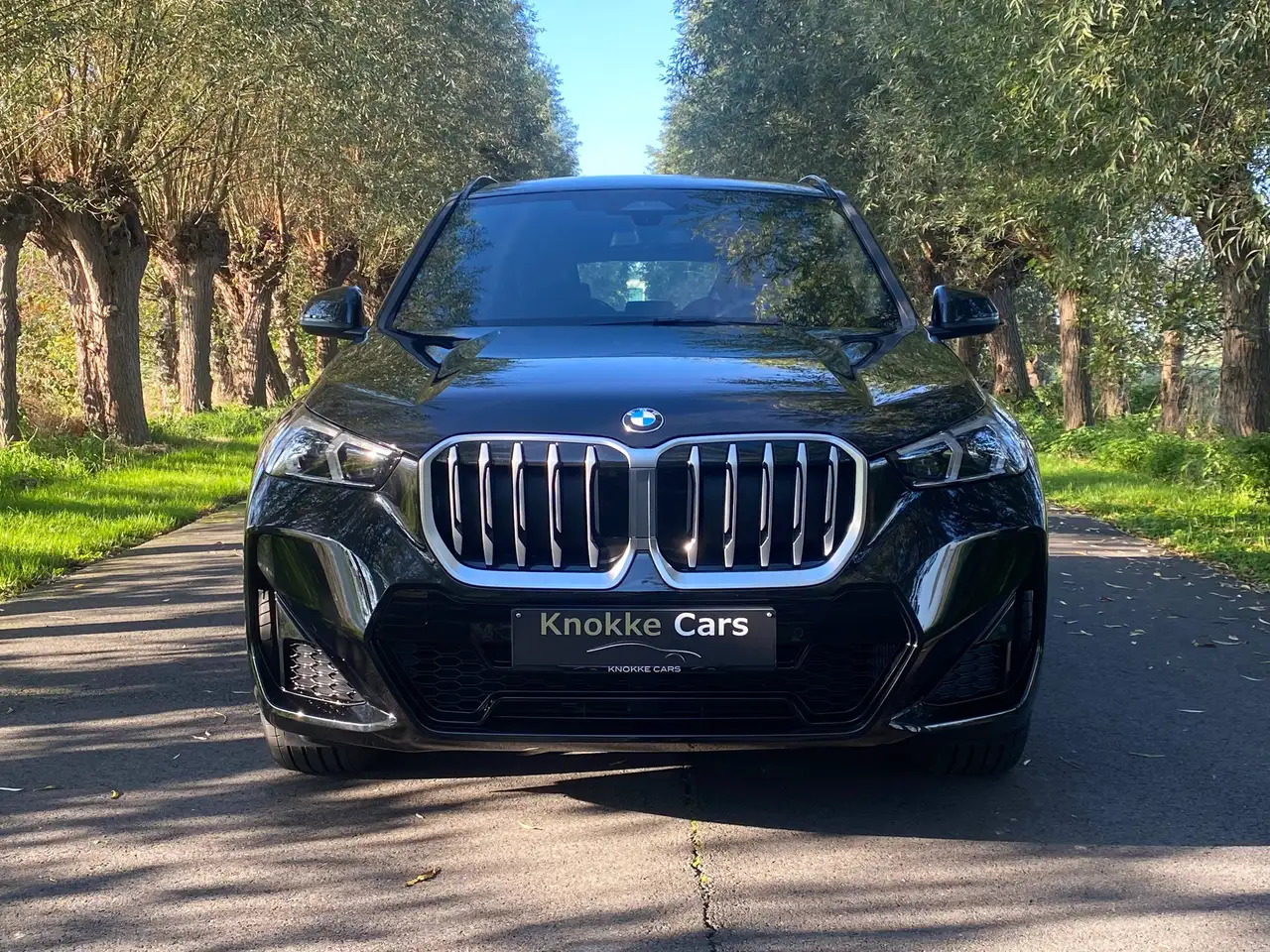 BMW X1 - 4