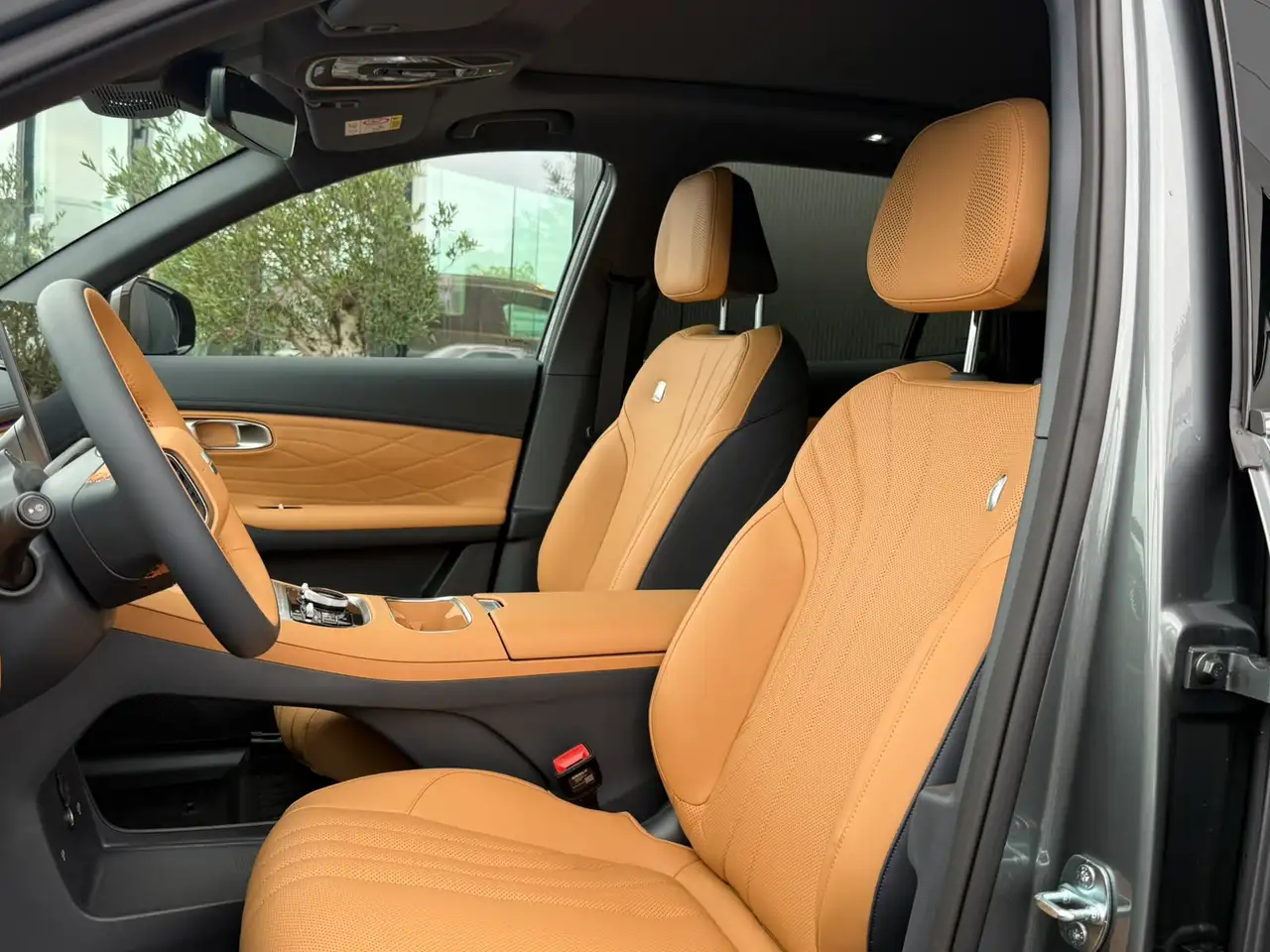Geely Starray EM-i - 10