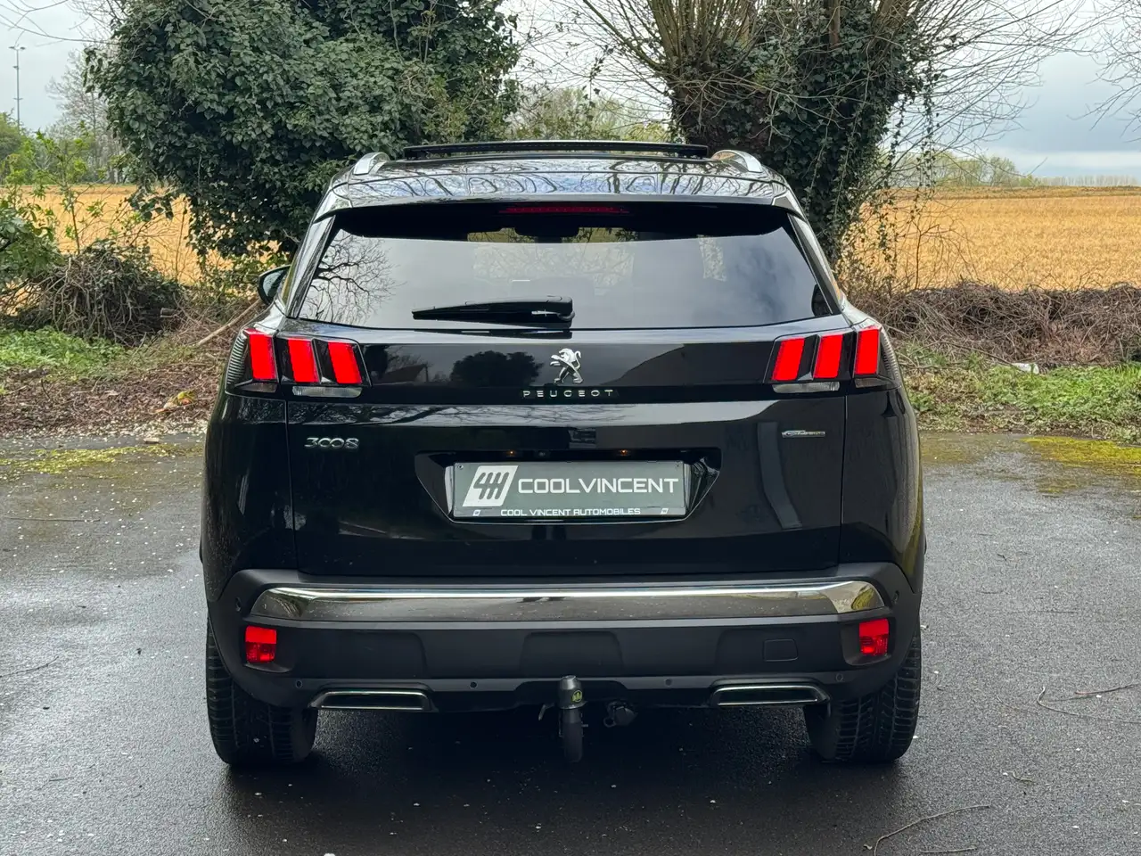 Peugeot 3008 - 5