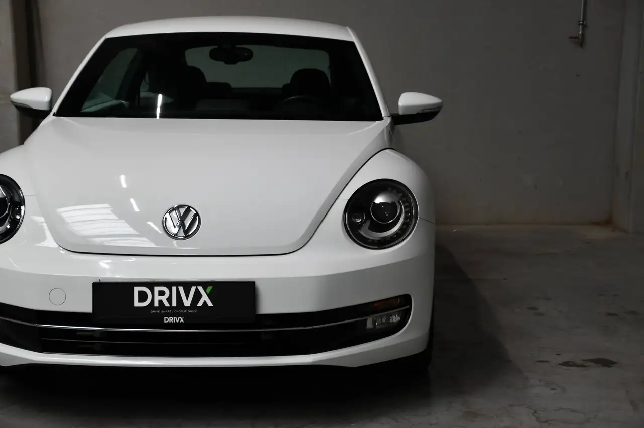 Volkswagen Beetle - 9