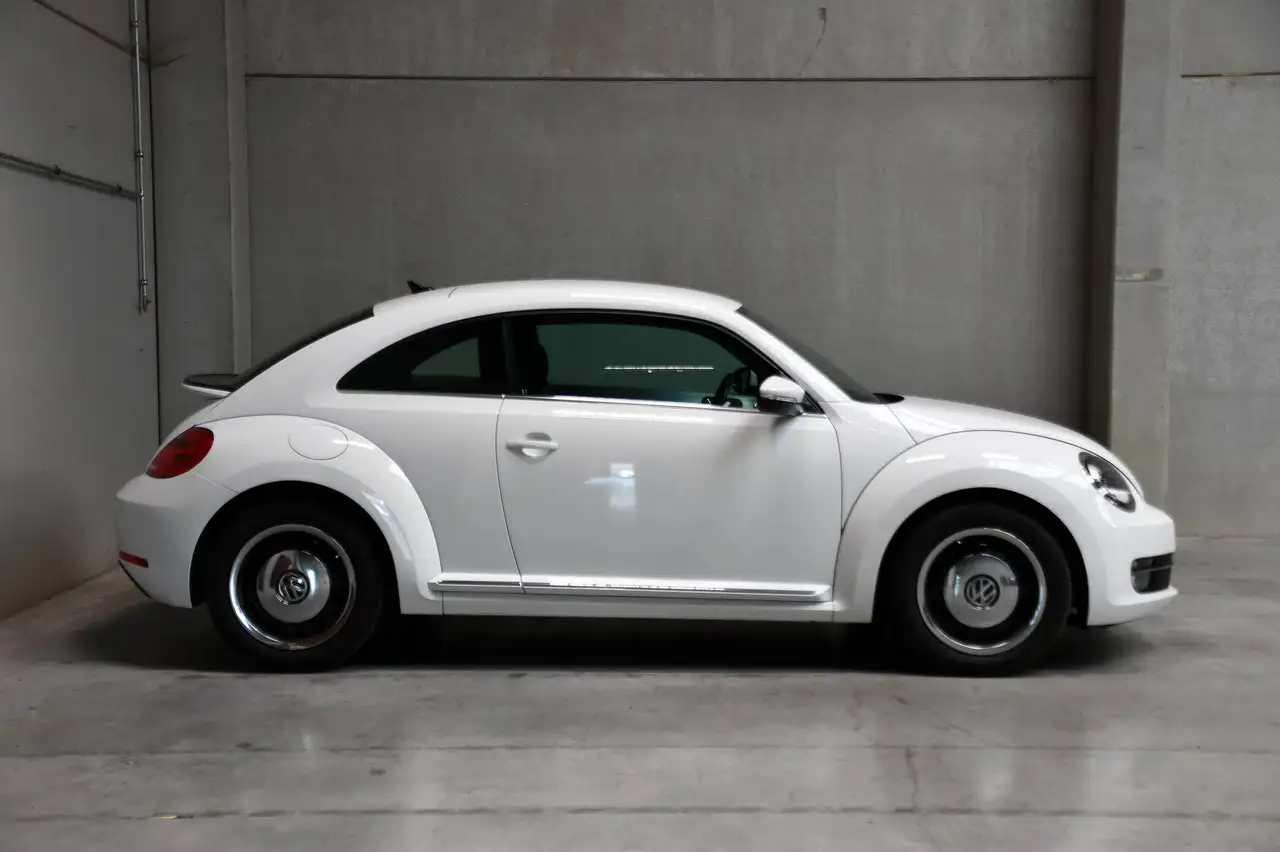 Volkswagen Beetle - 10