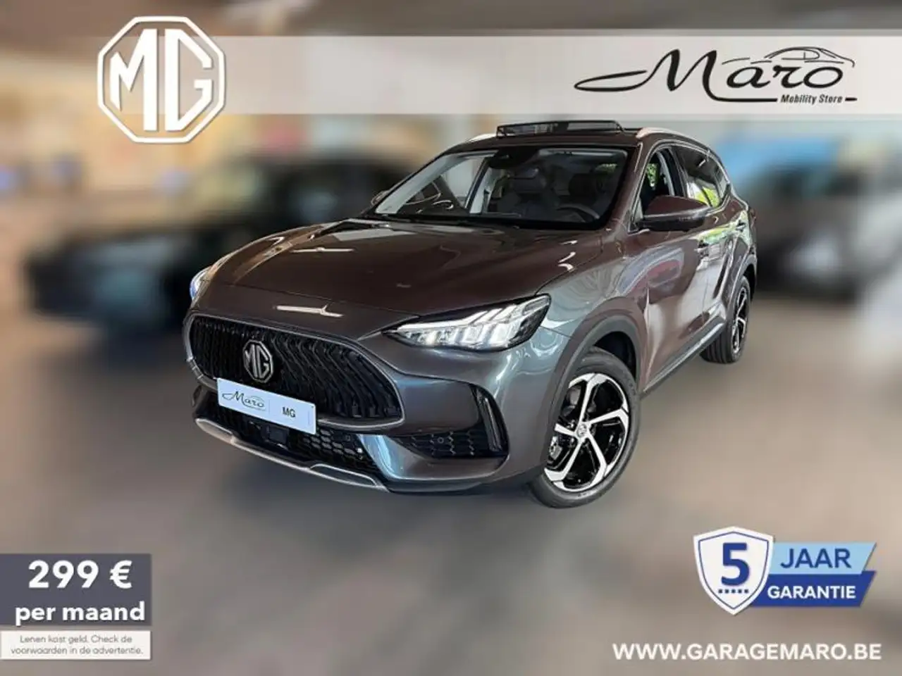 MG EHS - 1