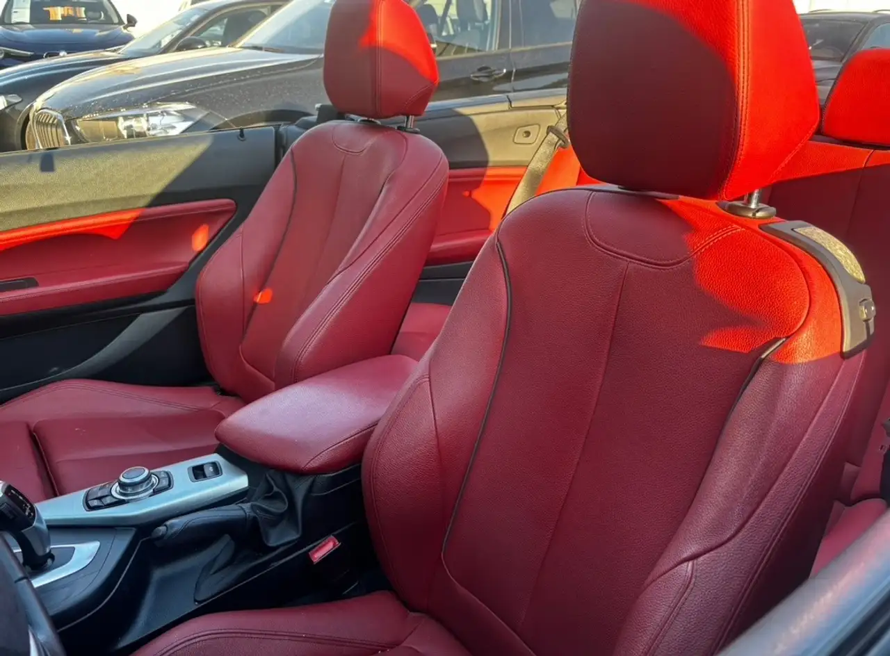 BMW 218 - 11