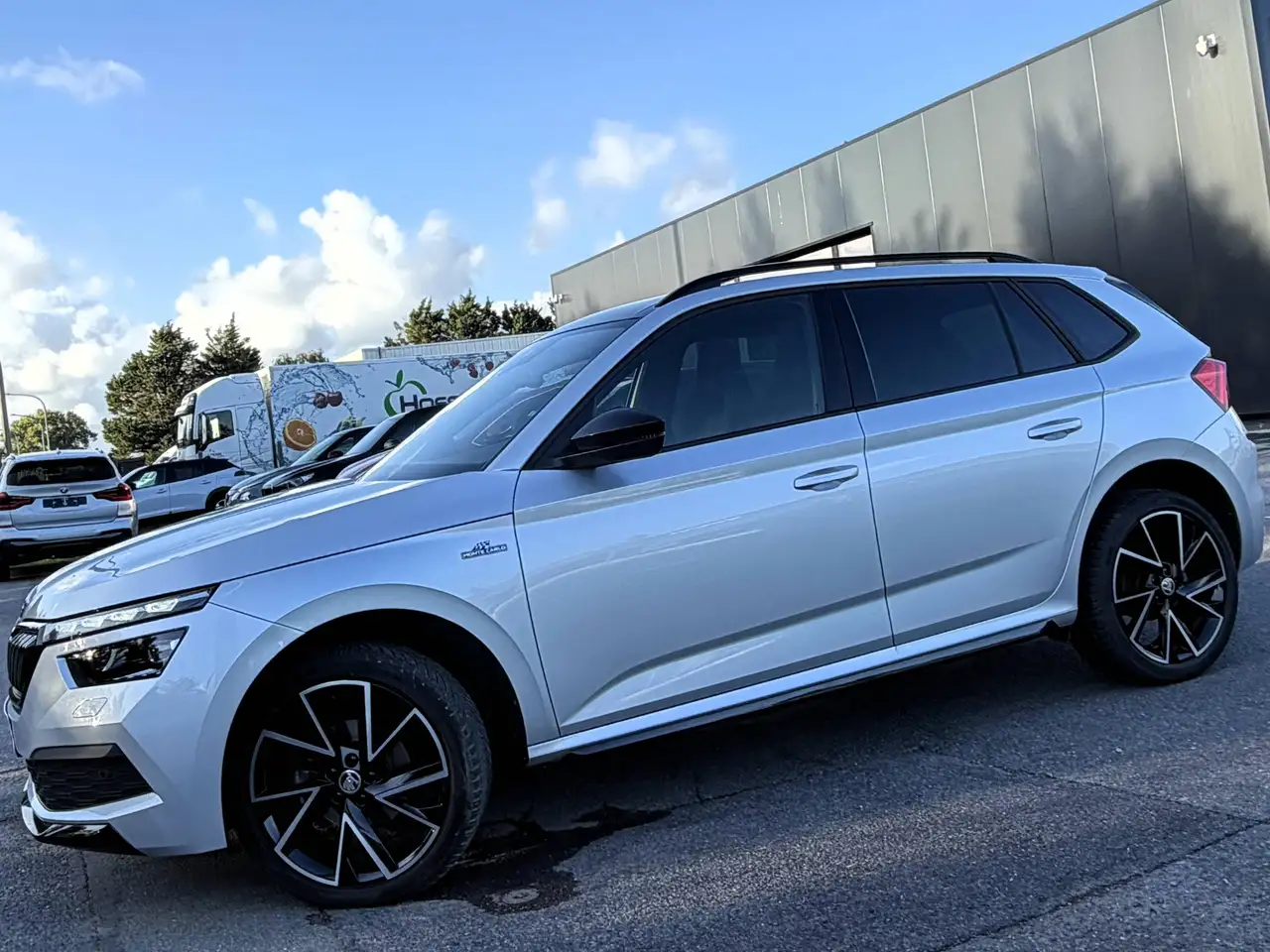 Skoda Kamiq - 4