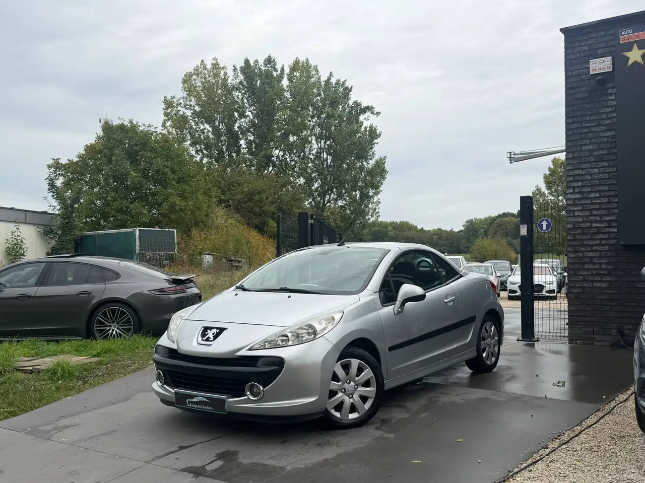 Peugeot 207 - 8