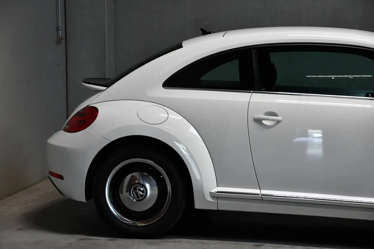 Volkswagen Beetle - 11