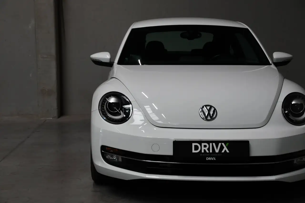 Volkswagen Beetle - 8