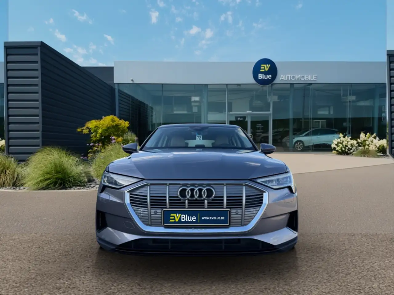 Audi e-tron - 9