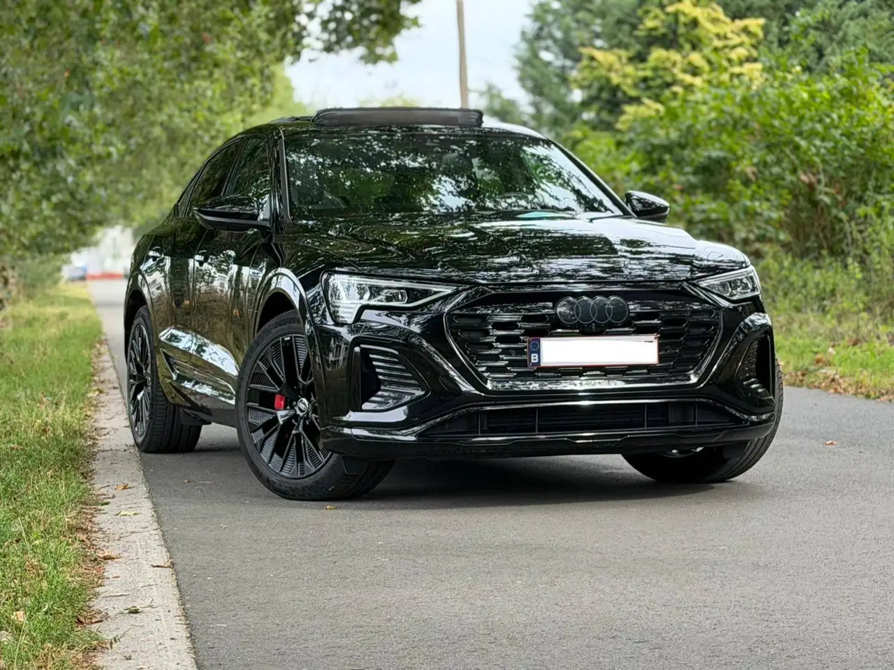 Audi Q8 e-tron - 1