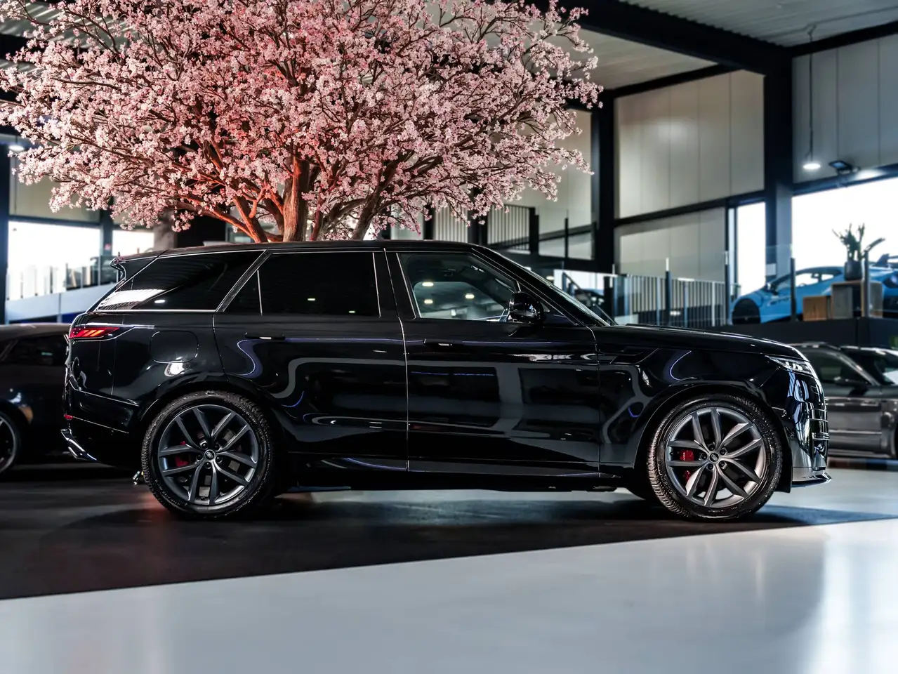 Land Rover Range Rover Sport - 5