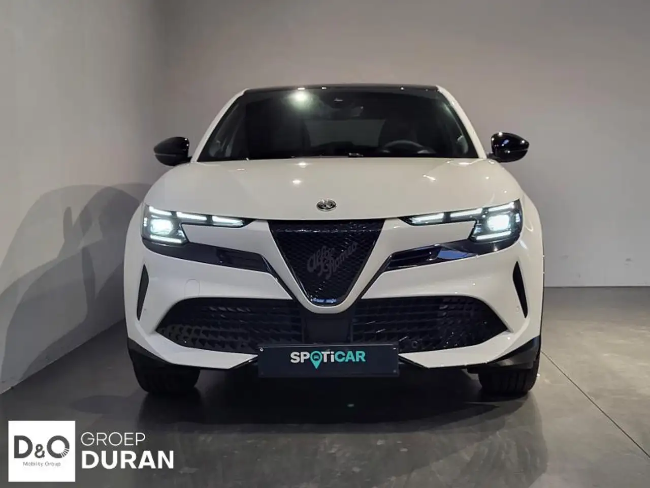 Alfa Romeo Junior - 9