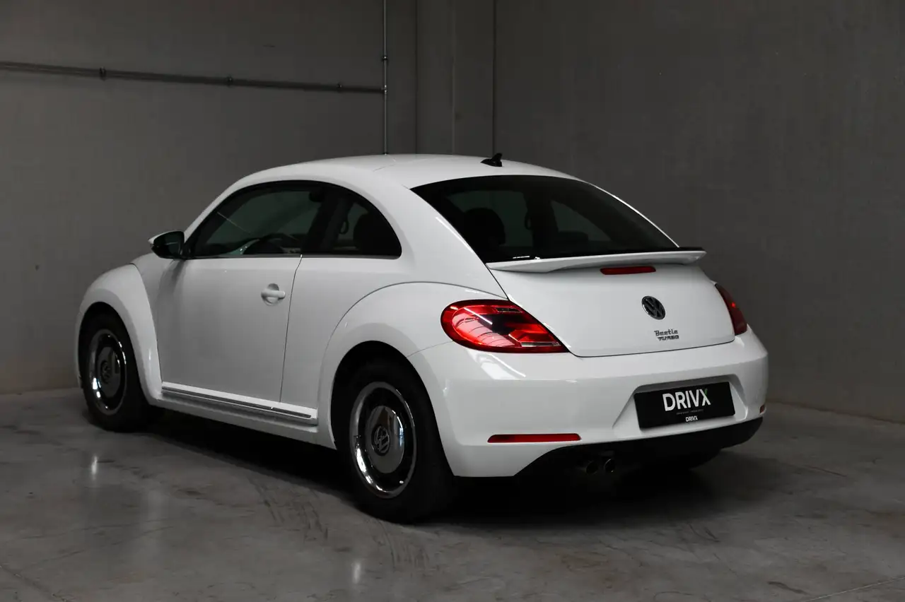 Volkswagen Beetle - 3