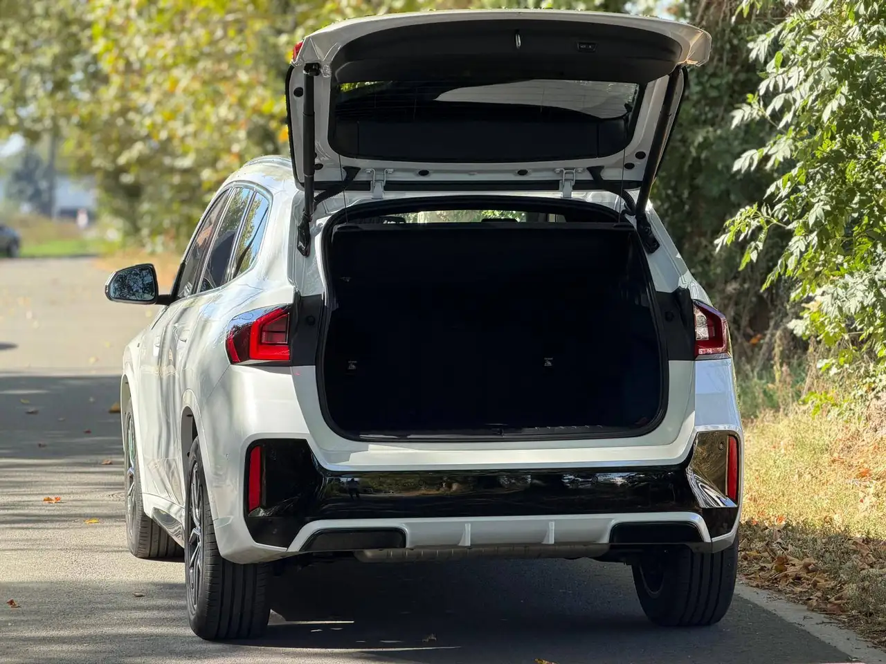 BMW X1 - 10