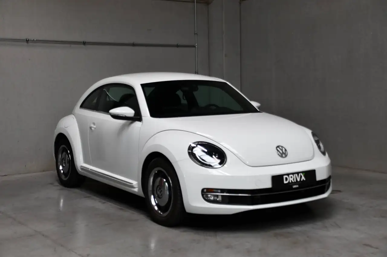 Volkswagen Beetle - 6