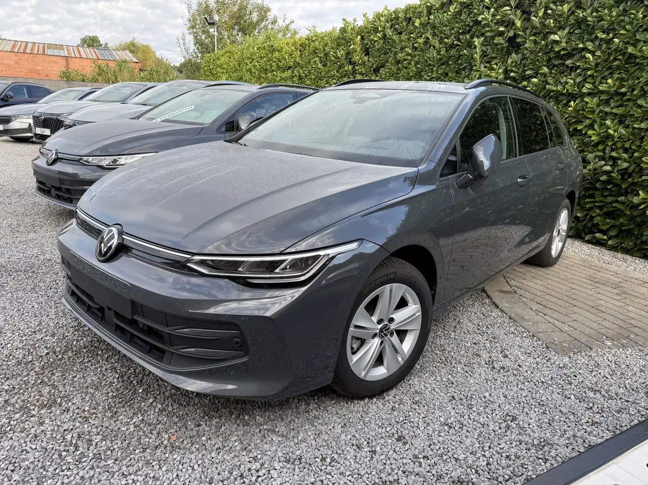 Volkswagen Golf Variant - 2