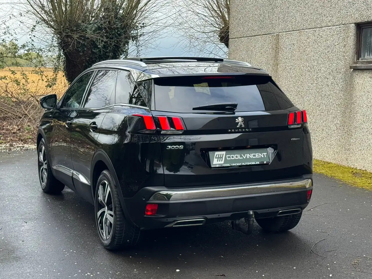Peugeot 3008 - 6