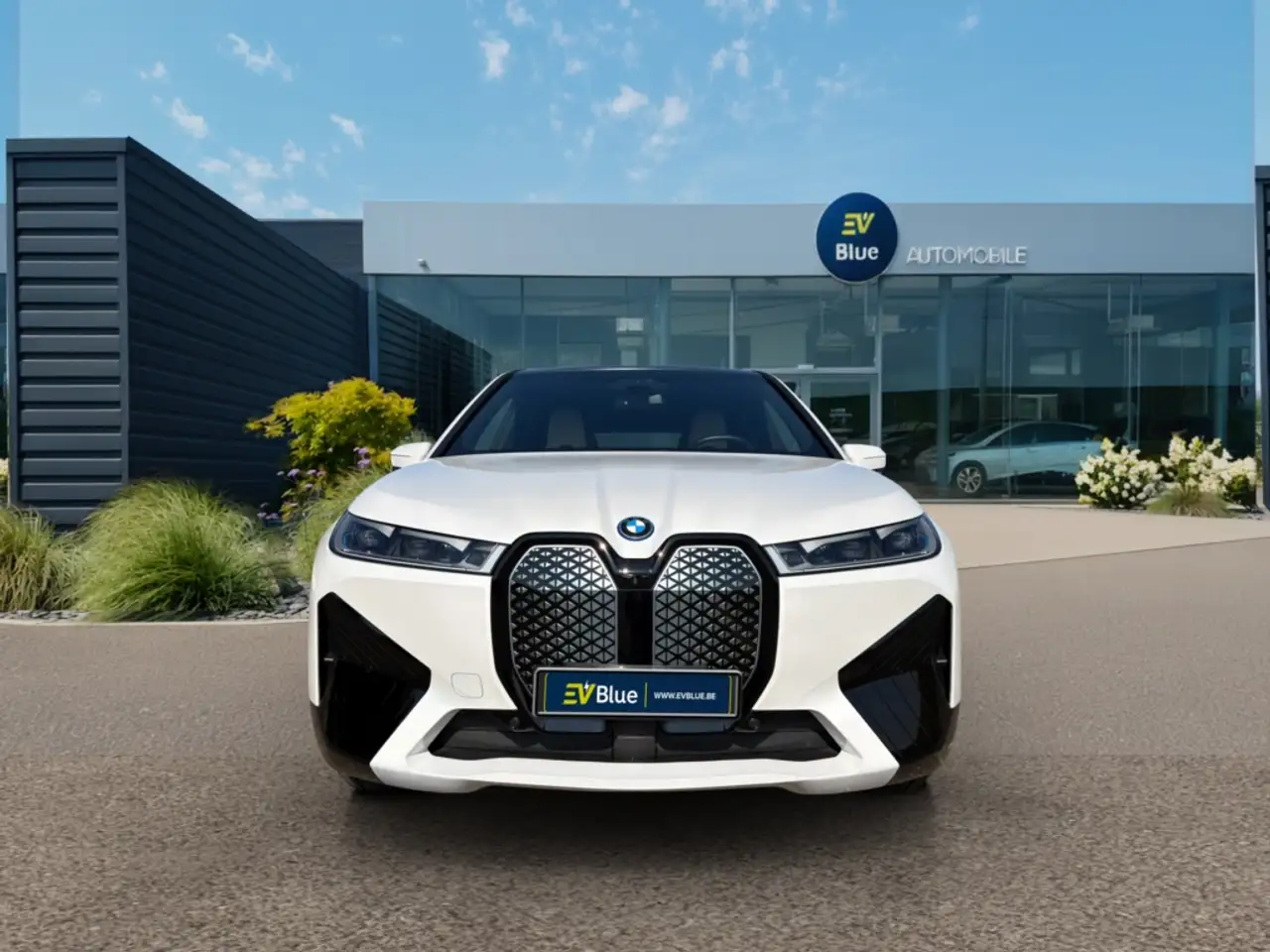 BMW iX - 9