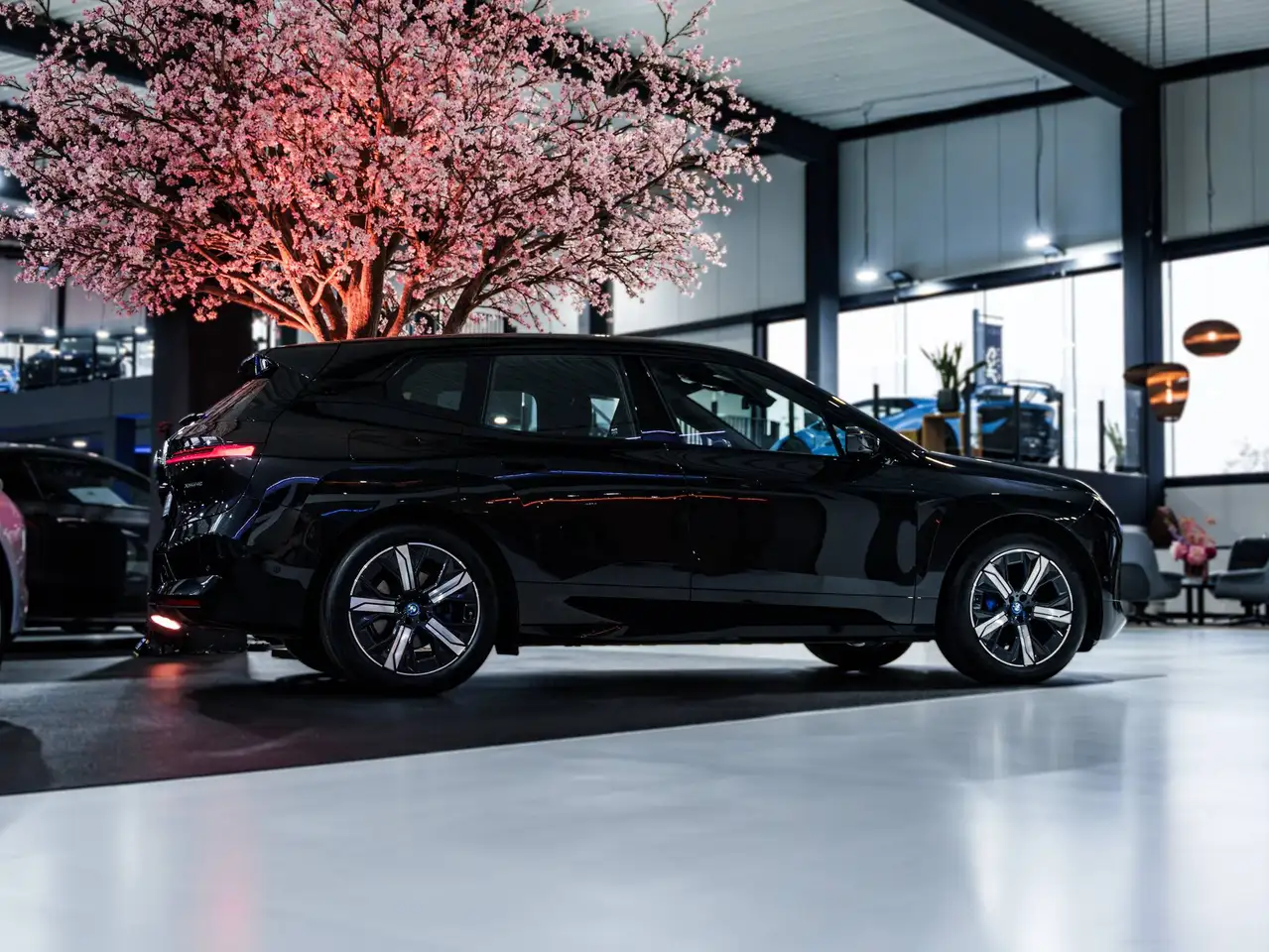 BMW iX - 8