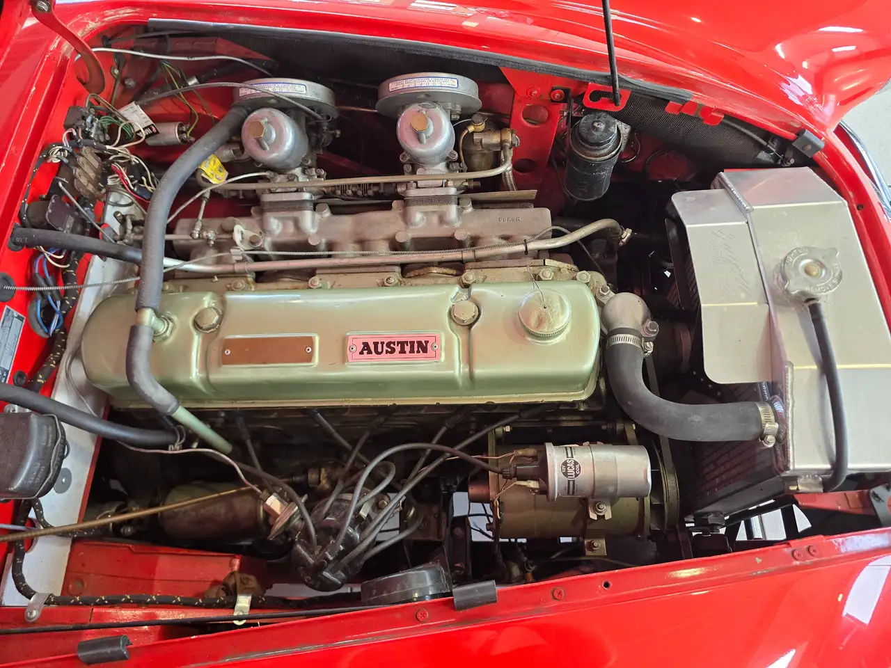 Austin-Healey 100 - 3
