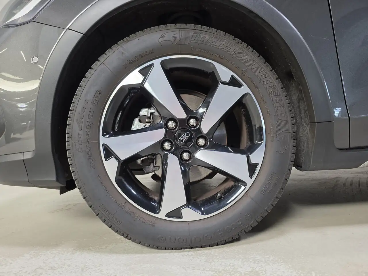 Ford Focus - 7