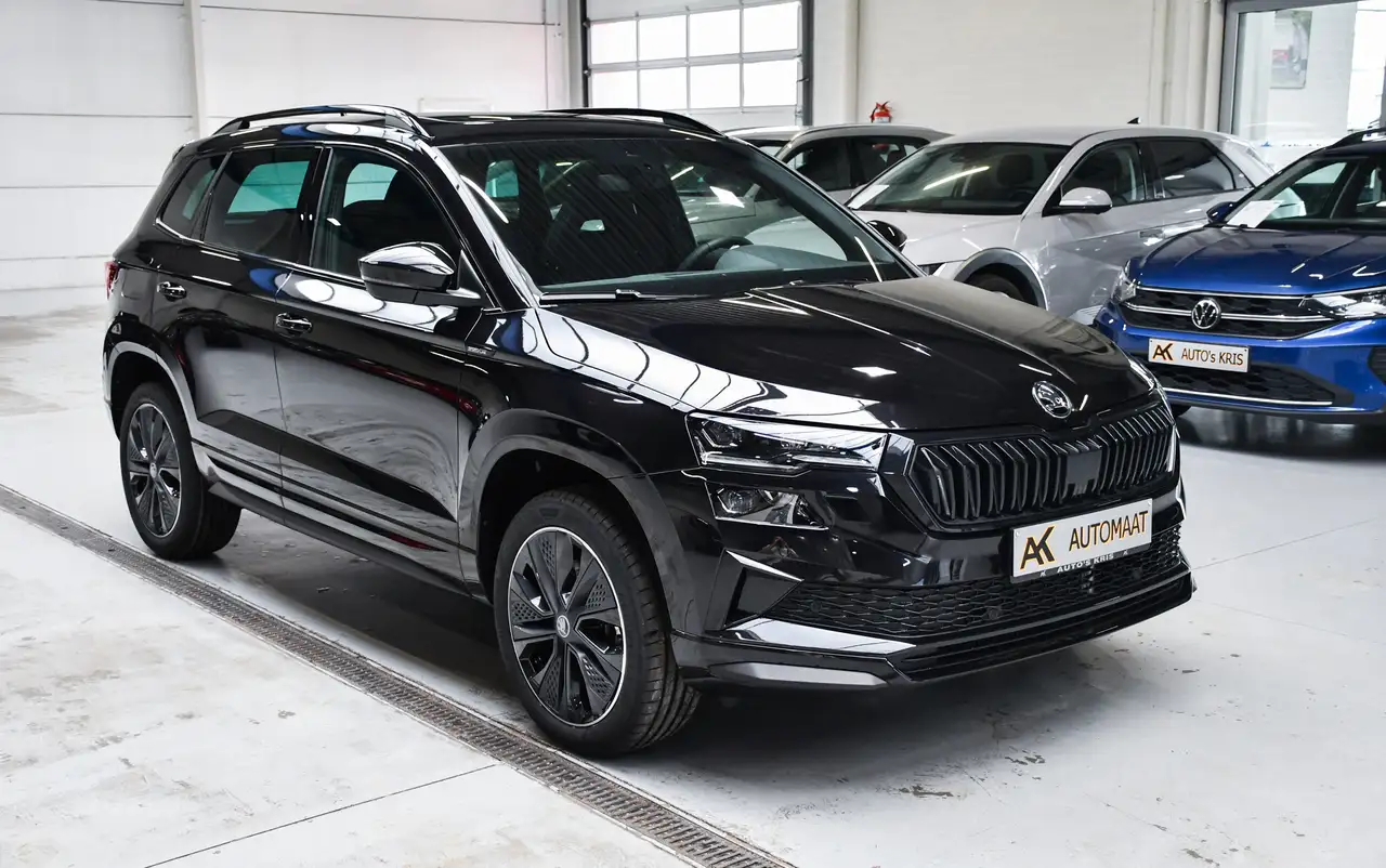Skoda Karoq - 2