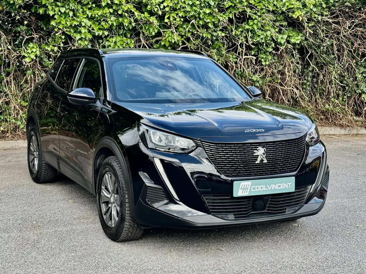 Peugeot 2008 - 3