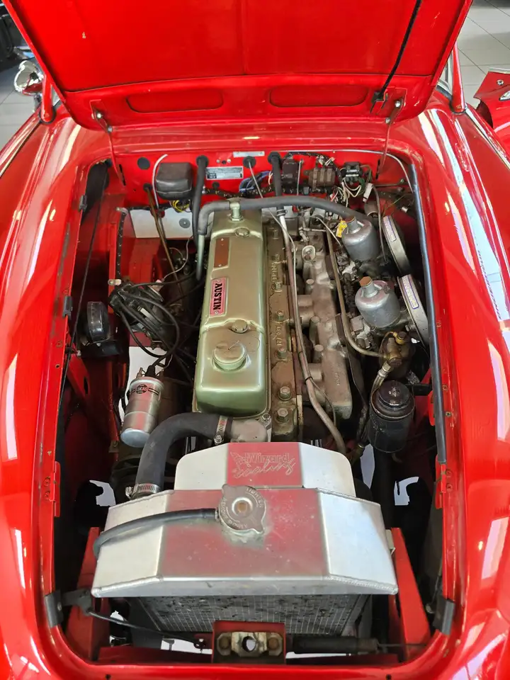 Austin-Healey 100 - 6