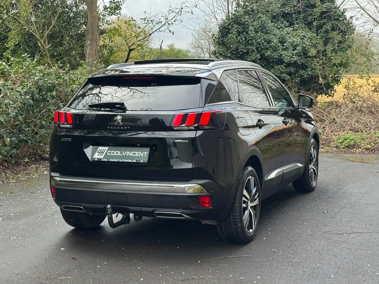 Peugeot 3008 - 4