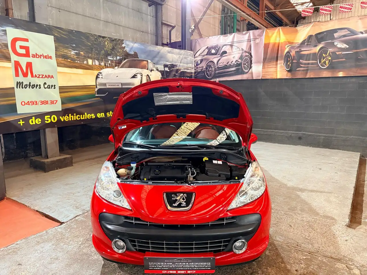 Peugeot 207 - 8