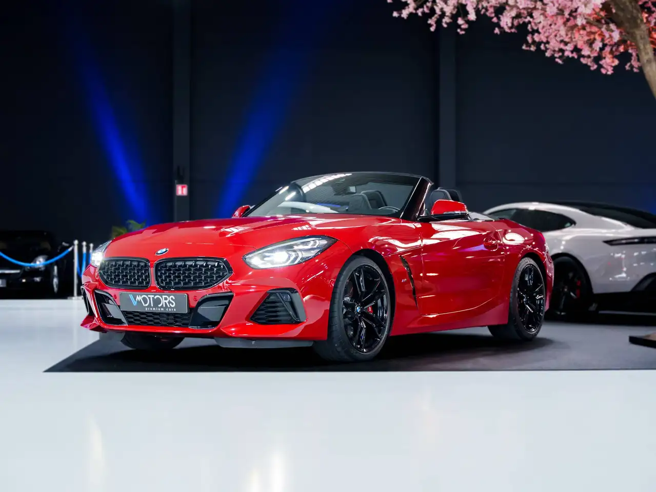 BMW Z4 M - 3