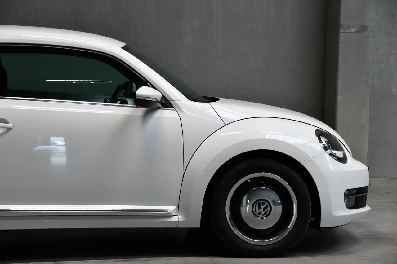 Volkswagen Beetle - 12