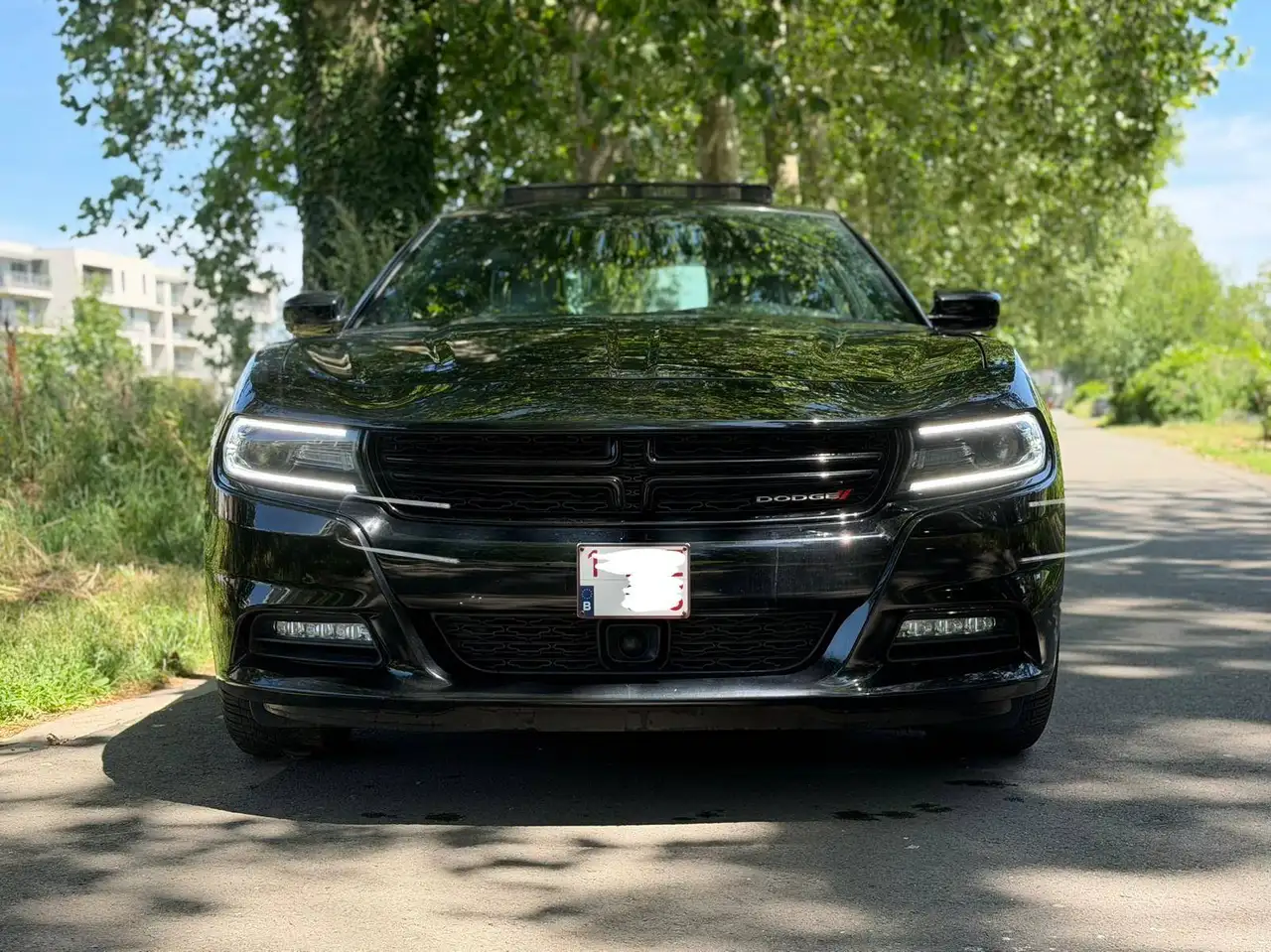 Dodge Charger - 5