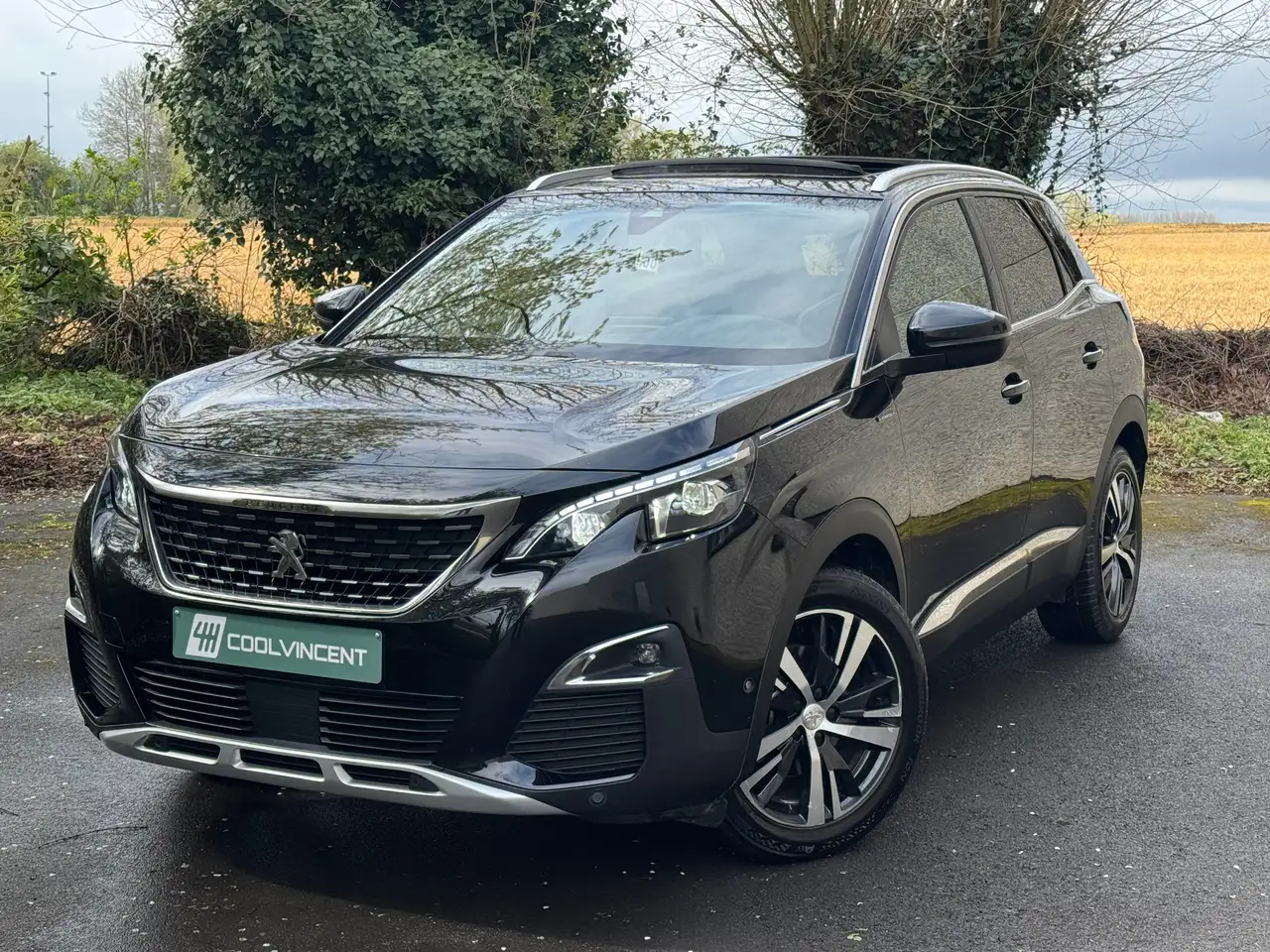 Peugeot 3008 - 1