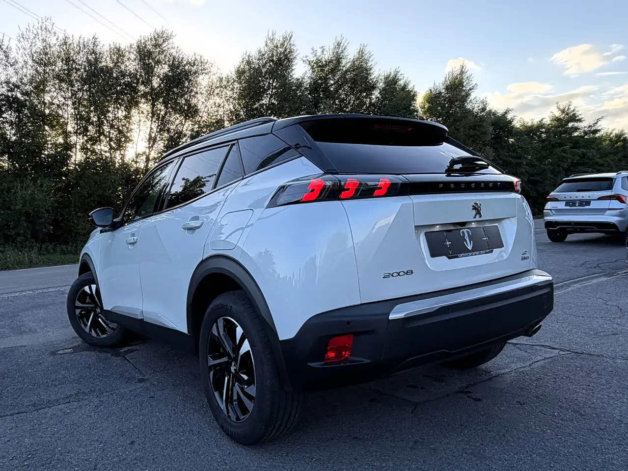 Peugeot 2008 - 6