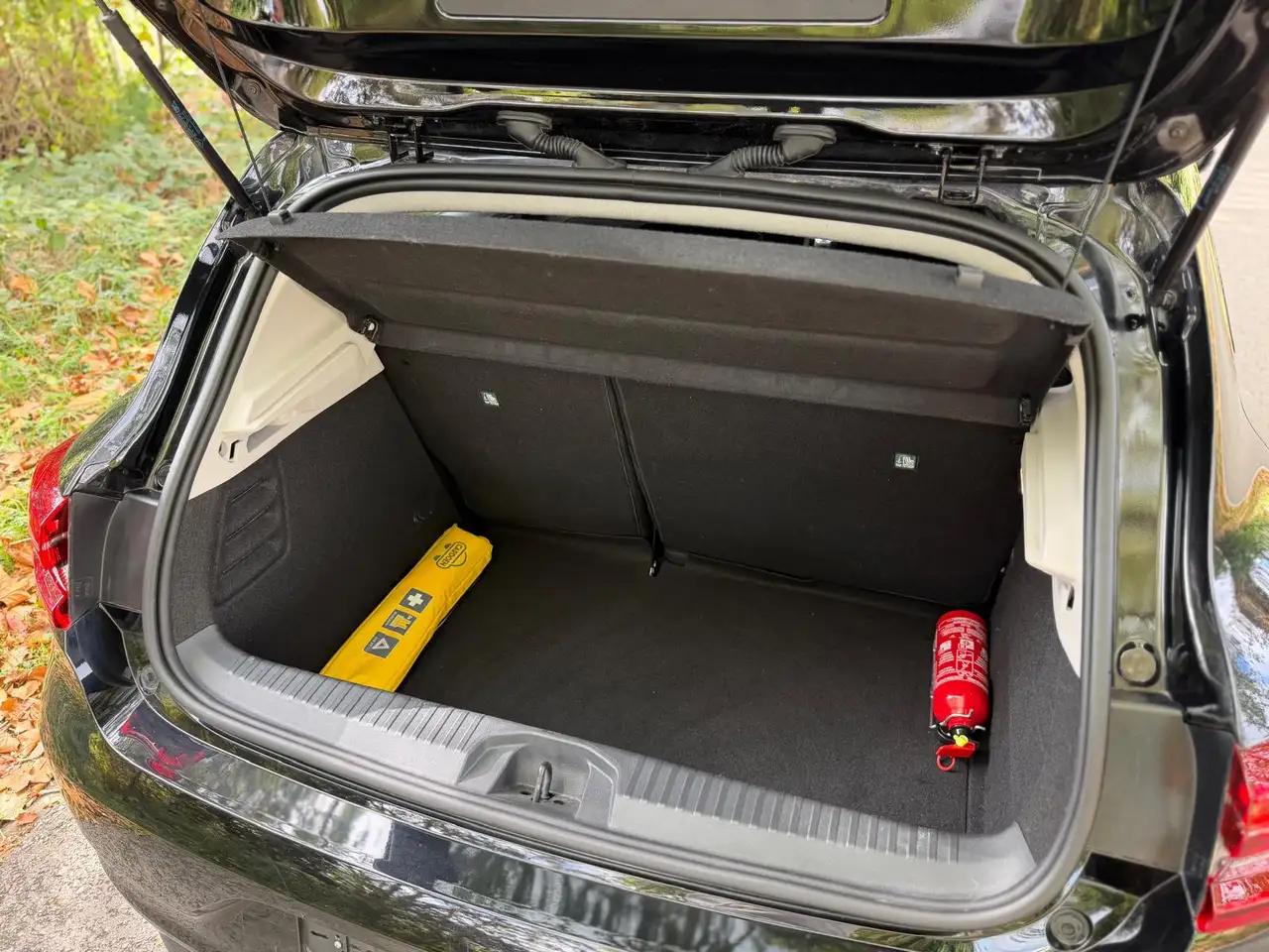 Renault Clio - 11
