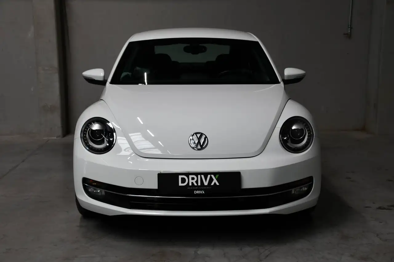 Volkswagen Beetle - 7