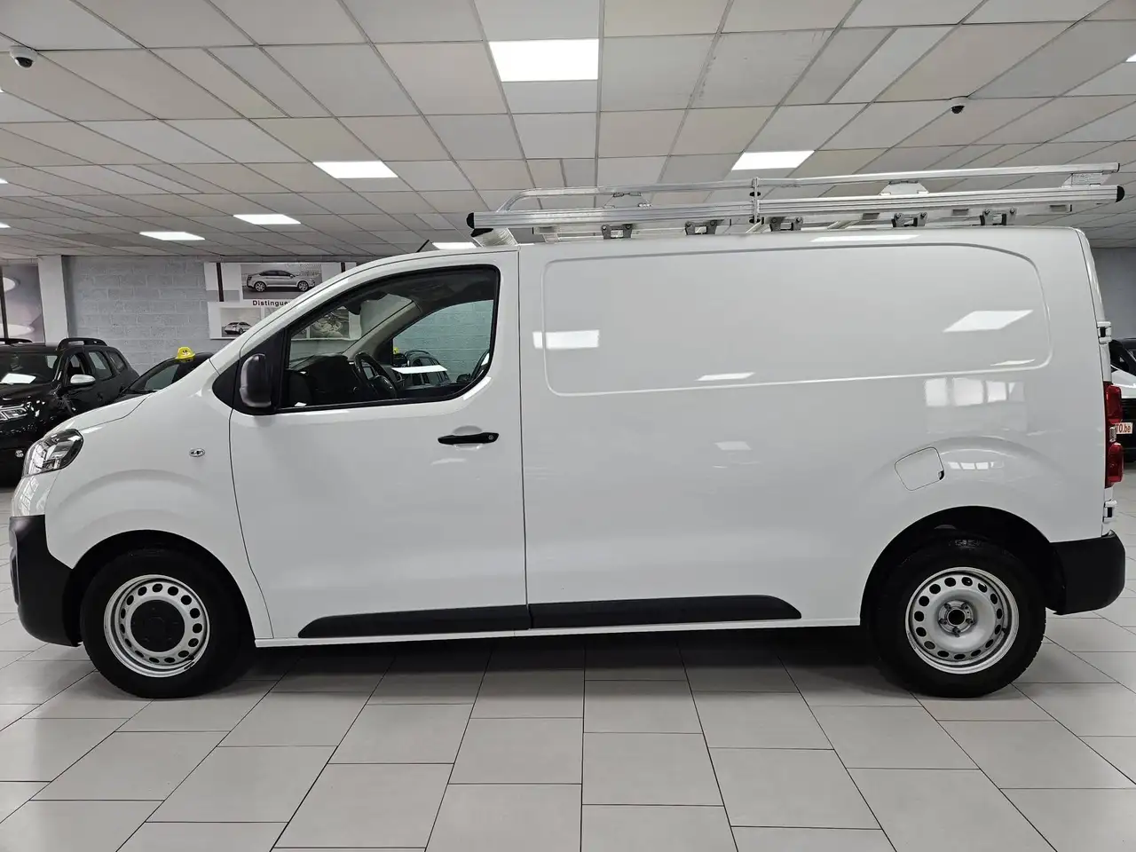 Fiat Scudo - 6