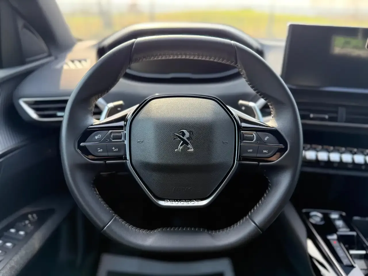 Peugeot 3008 - 26