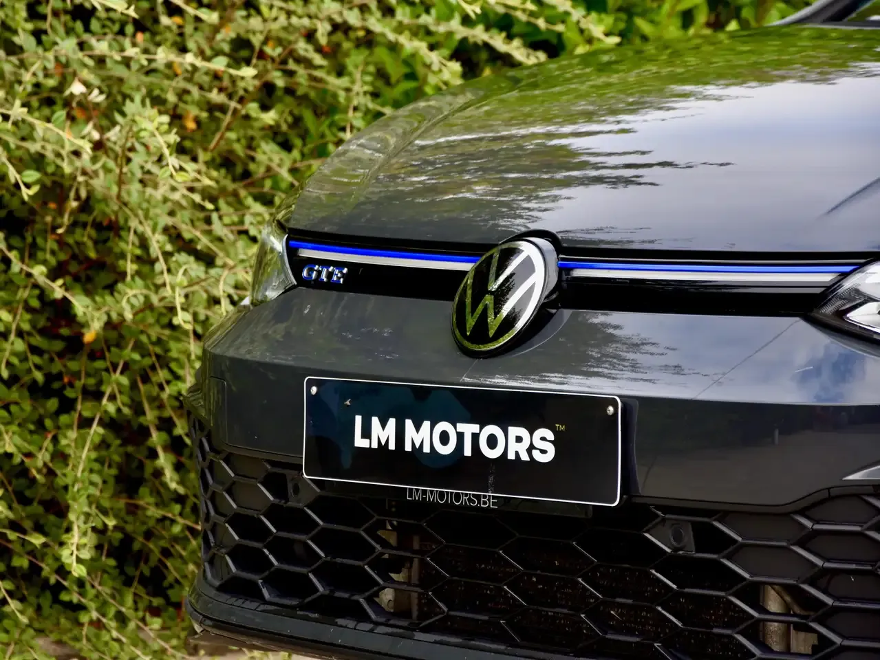 Volkswagen Golf - 25