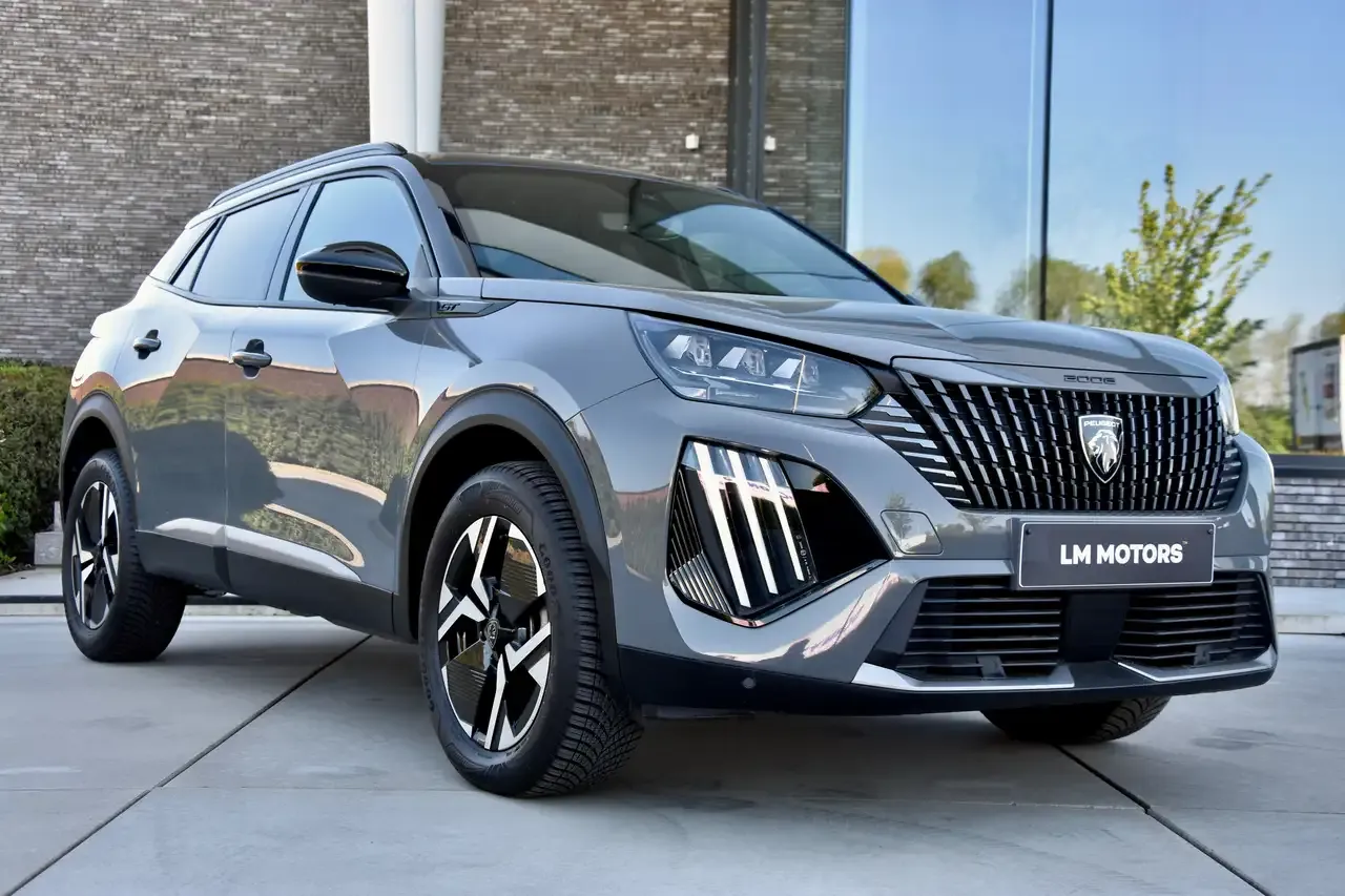 Peugeot 2008 - 18