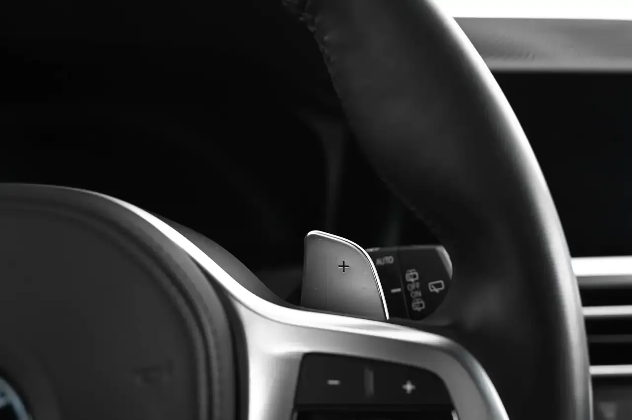BMW 330 - 29