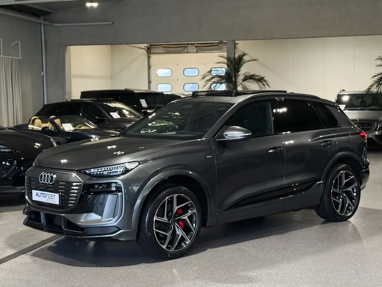 Audi Q6 e-tron - 23